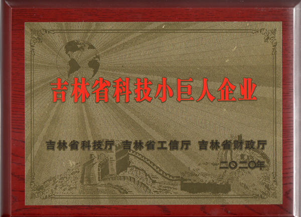 0PG电子物业获“吉林省科技幼巨人企业”称号_副本.jpg