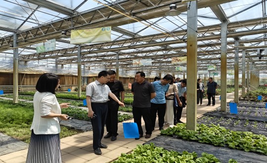 29.中国绿色食品发展中心有关辅导莅临农业总公司调查调研_副本.jpg