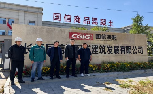 4.结合查抄组莅临装配式总公司发展查抄工作_副本.jpg