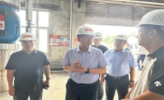 14.伊通满族自治县县委书记孙立阳一行辅导莅临PG电子供热总公司伊通供热分公司第二热源厂发展调研（不够清澈，助忙调整）_副本.jpg